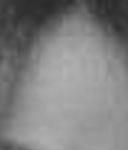 index1x2.jpg